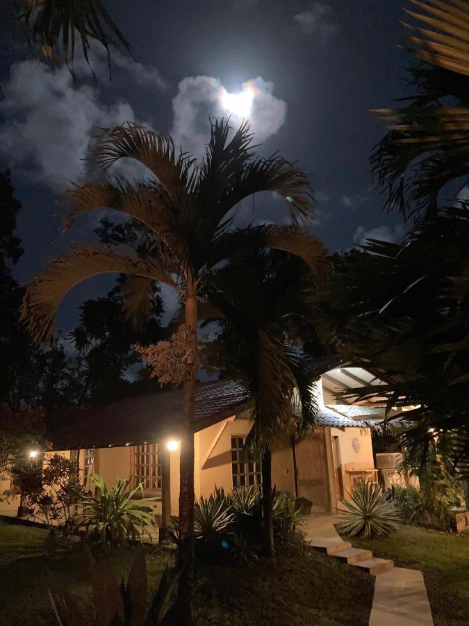 Pura Vida Vegana Hotell Cahuita Exteriör bild